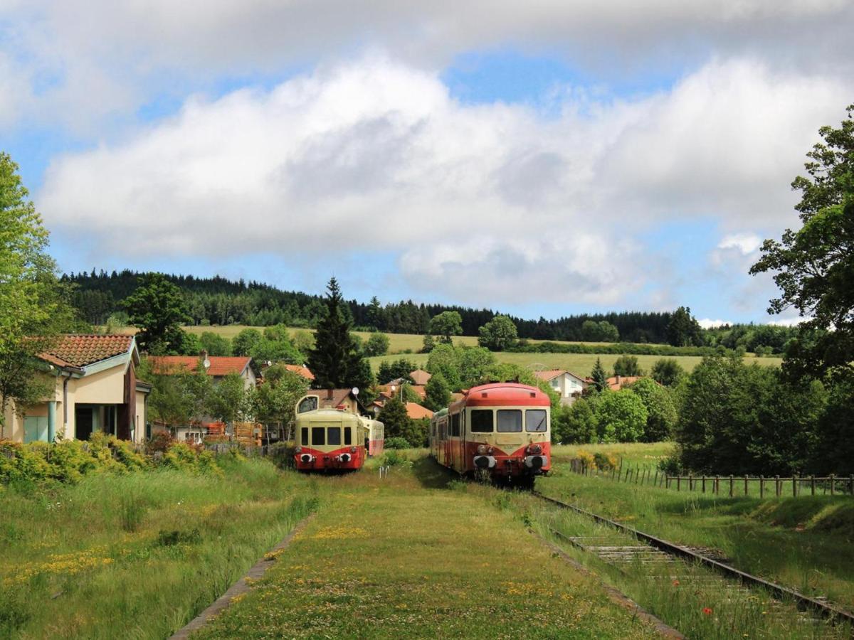 Gite Avec Cheminee, Terrasse Et Wifi - Animaux Acceptes - Fr-1-496-163 Usson-en-Forez Экстерьер фото